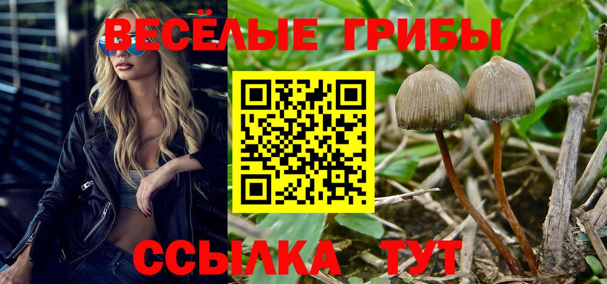 Галлюциногенные грибы мицелий  Вход с VPN  Ангарск 