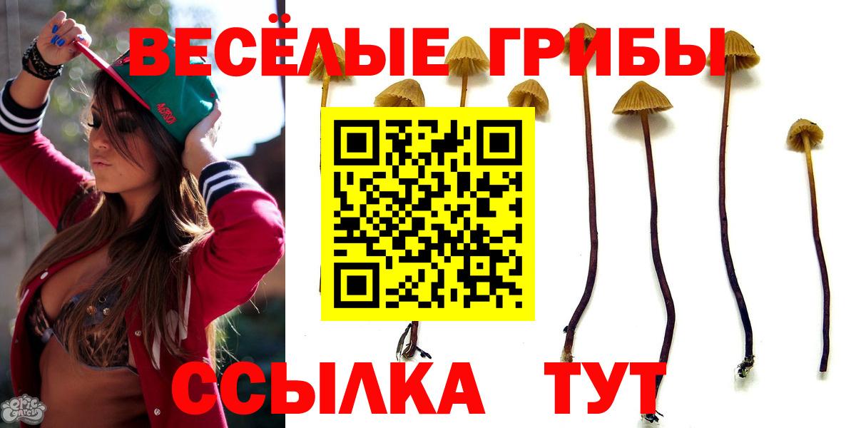 Псилоцибиновые грибы ЛСД Ангарск